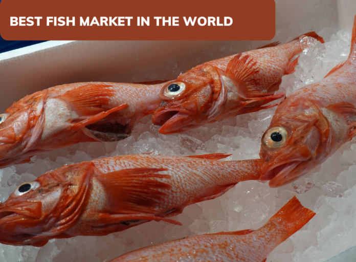 Experience the best fish market in the world for fresh catches, vibrant culture, and delicious seafood delights!