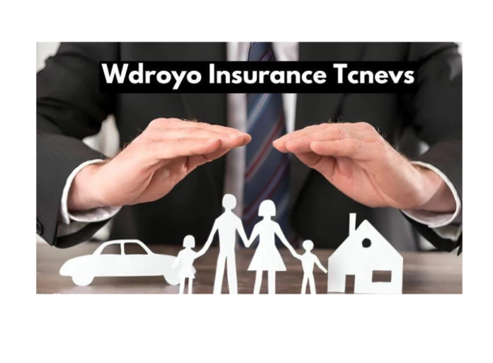 Wdroyo Insurance Simplified for Everyone